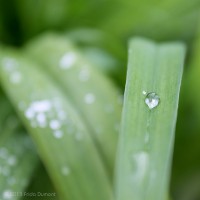 /album/galerie-photos/frida-dumont-img-8119-jpg/